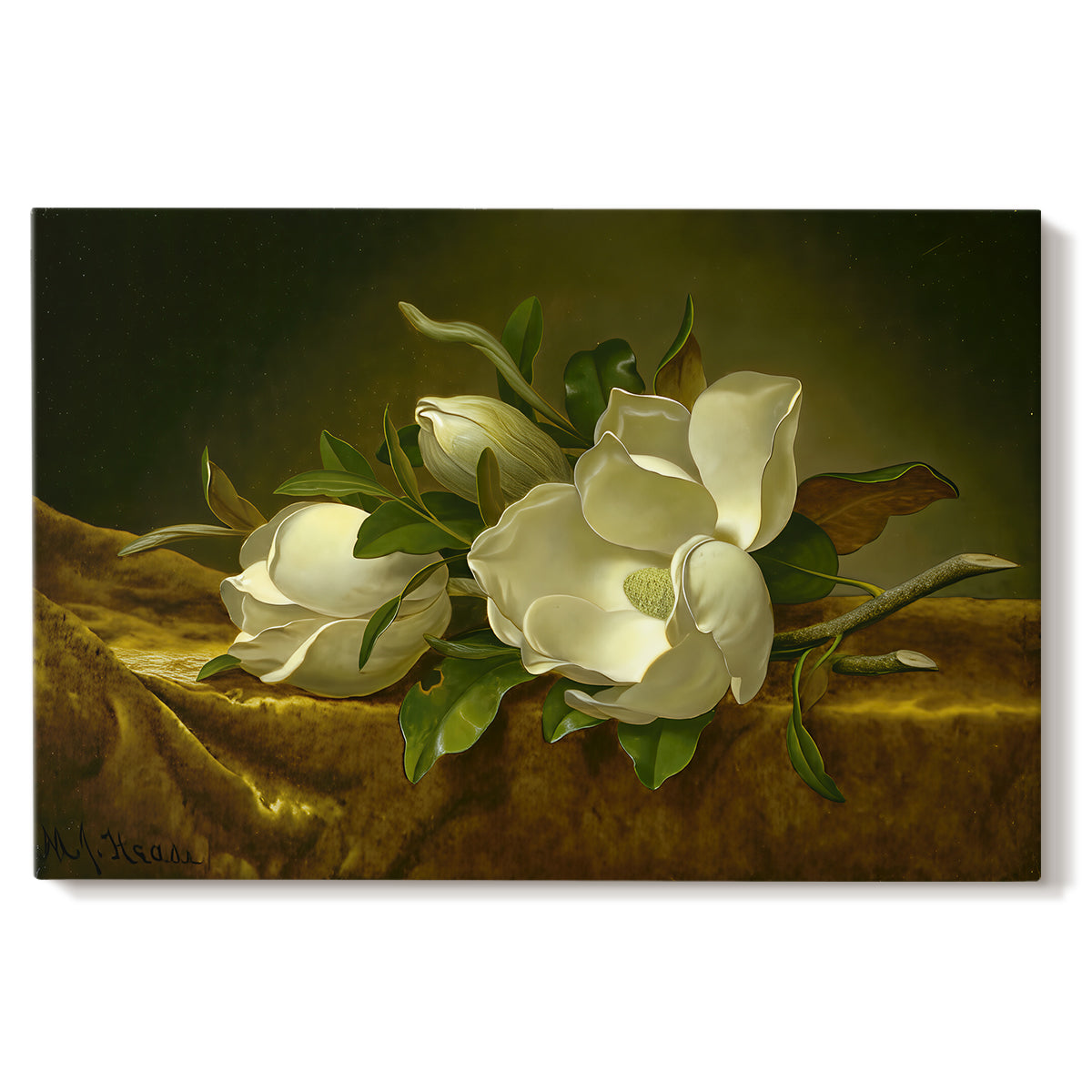 Canvas art print portraying magnolia blossoms arranged on gold velvet surface, set against a white background