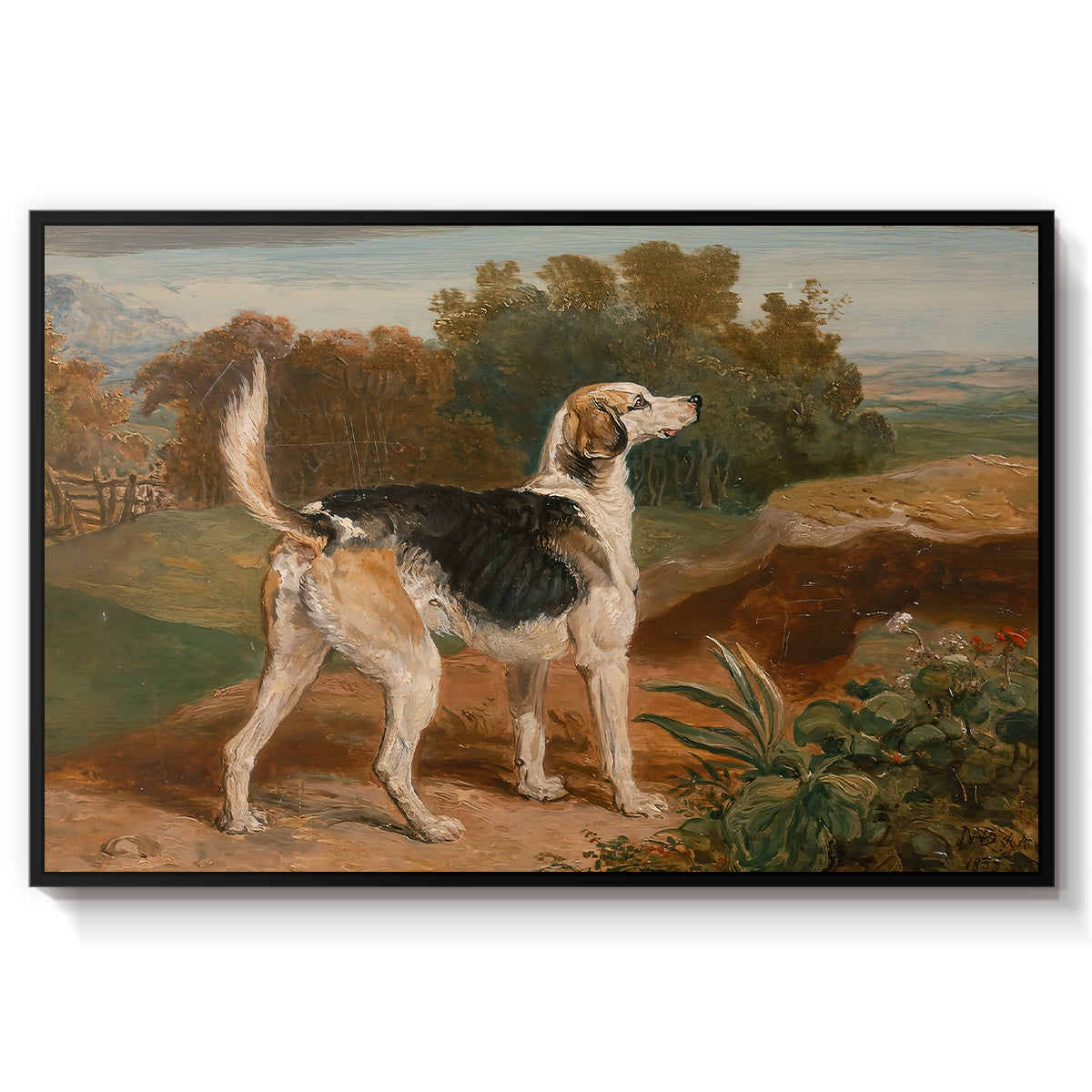 Ravager, One of the Lambton Hounds, 1835 - Floater Framed Canvas Print