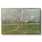 Orchard in Blossom (Plum Trees), 1888 - Floater Framed Canvas Print