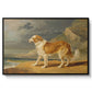 Rough-Coated Collie, 1809 - Floater Framed Canvas Print
