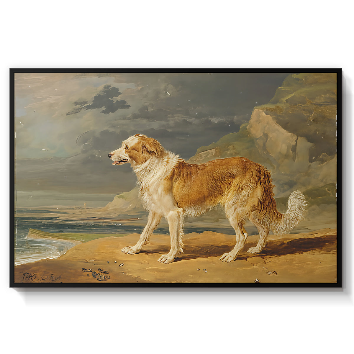 Rough-Coated Collie, 1809 - Floater Framed Canvas Print