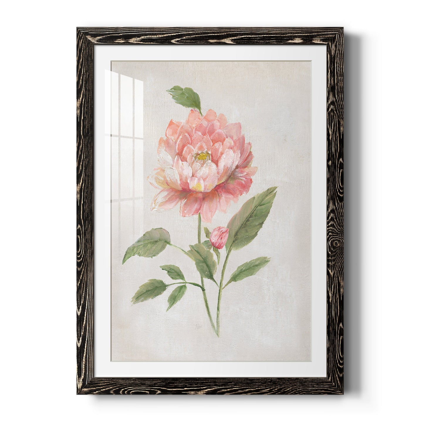 Grandiflora III - Premium Framed Print - Distressed Barnwood Frame - Ready to Hang