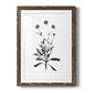 Inky Botanical I - Premium Framed Print - Distressed Barnwood Frame - Ready to Hang