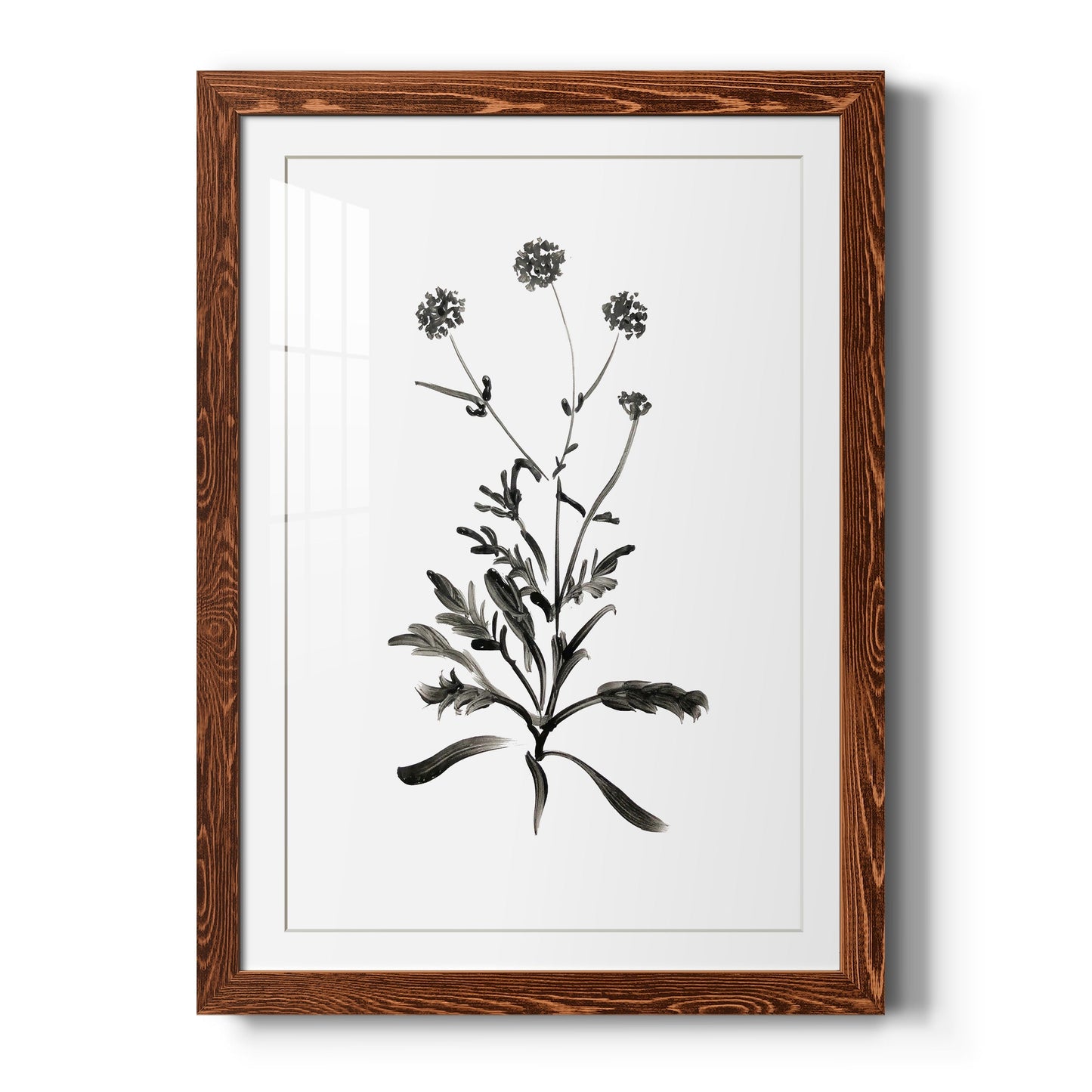 Inky Botanical I - Barnwood Framed Art Print