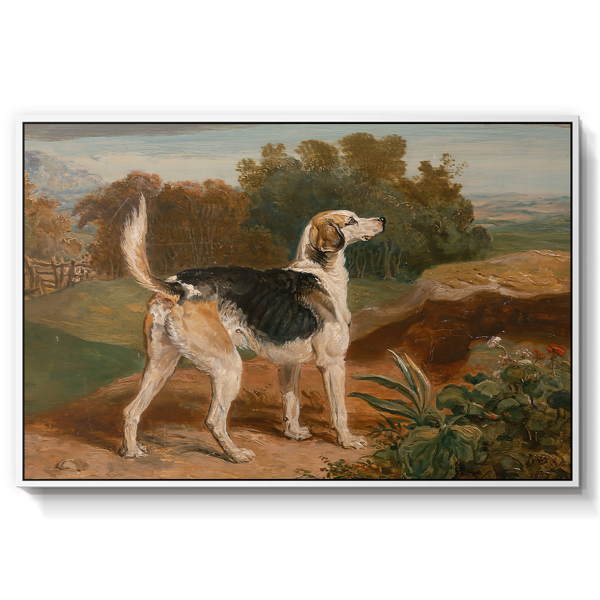 Ravager, One of the Lambton Hounds, 1835 - Floater Framed Canvas Print