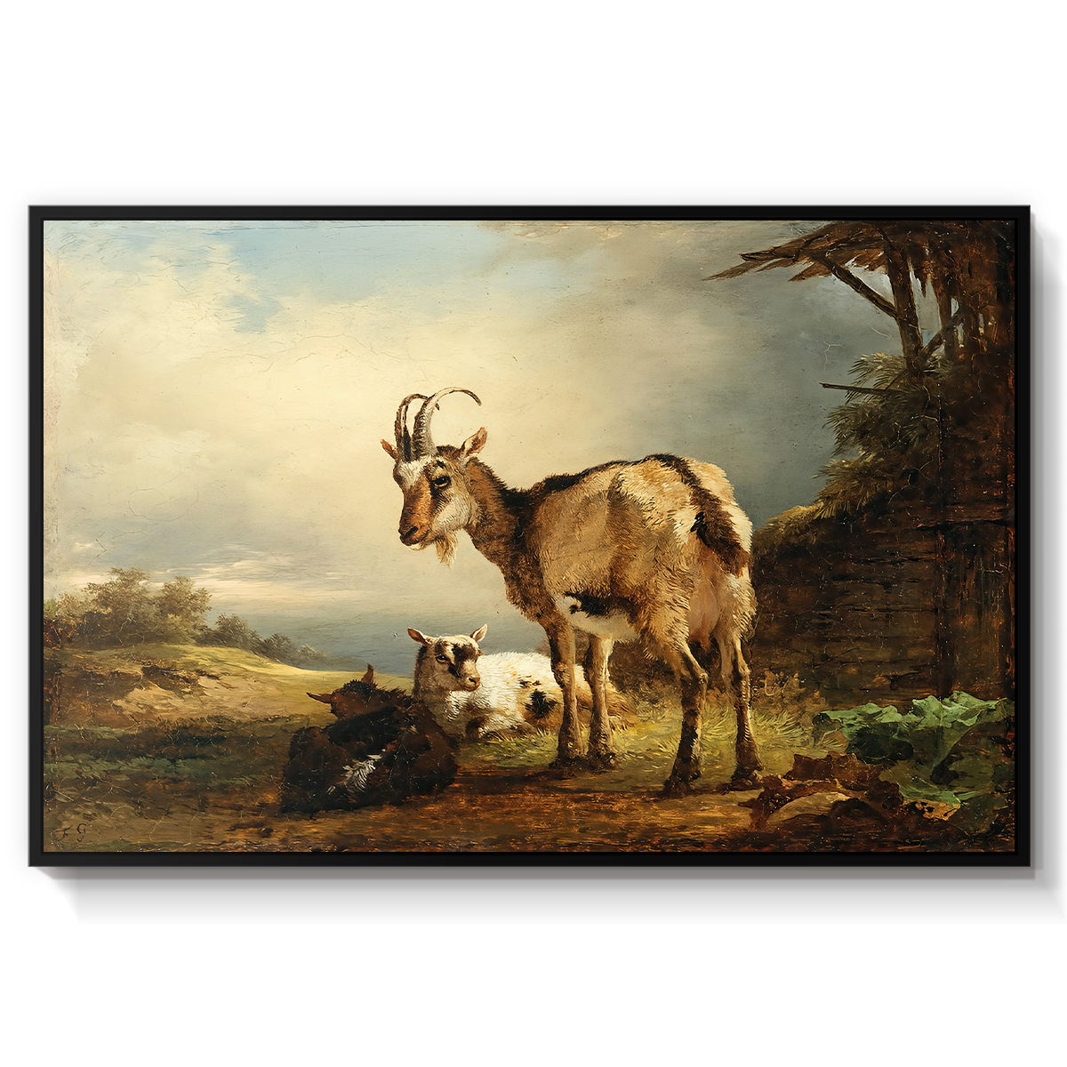 A Goat with Two Kids - Floater Framed Canvas Print