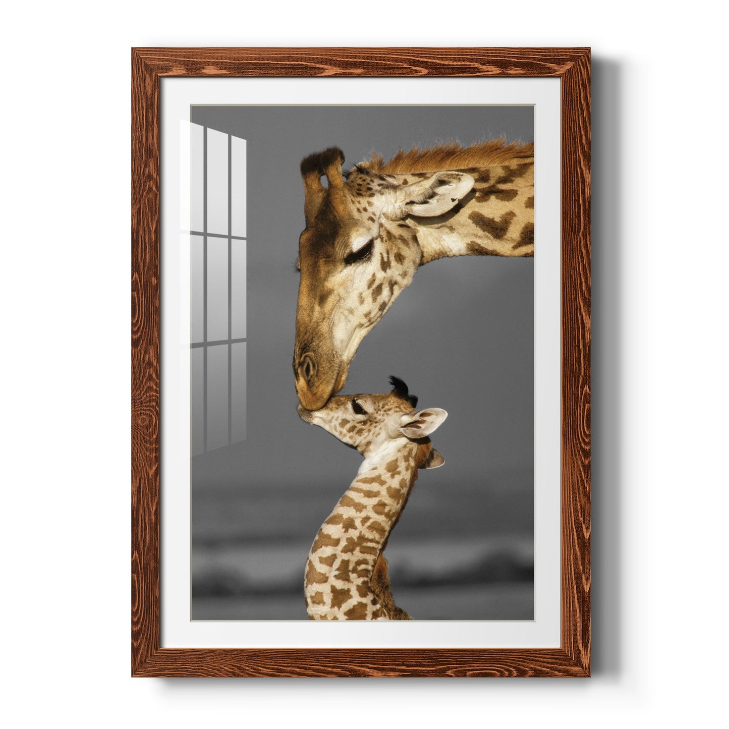 Masai Mara Giraffe Family - Premium Framed Print - Distressed Barnwood Frame - Ready to Hang