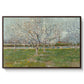 Orchard in Blossom (Plum Trees), 1888 - Floater Framed Canvas Print