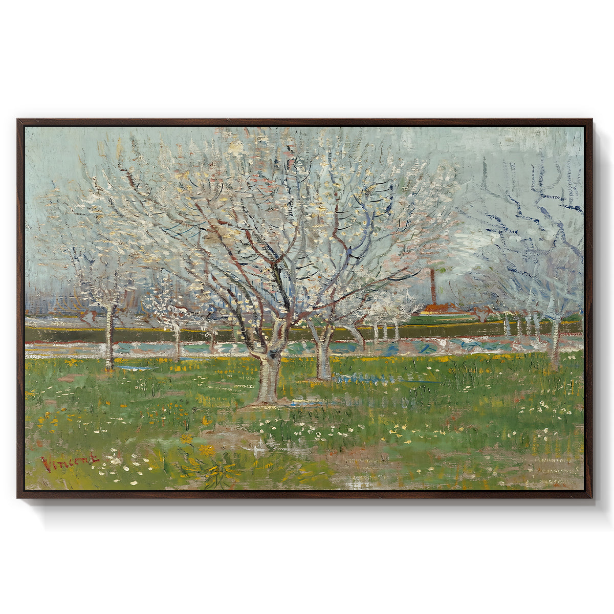 Orchard in Blossom (Plum Trees), 1888 - Floater Framed Canvas Print