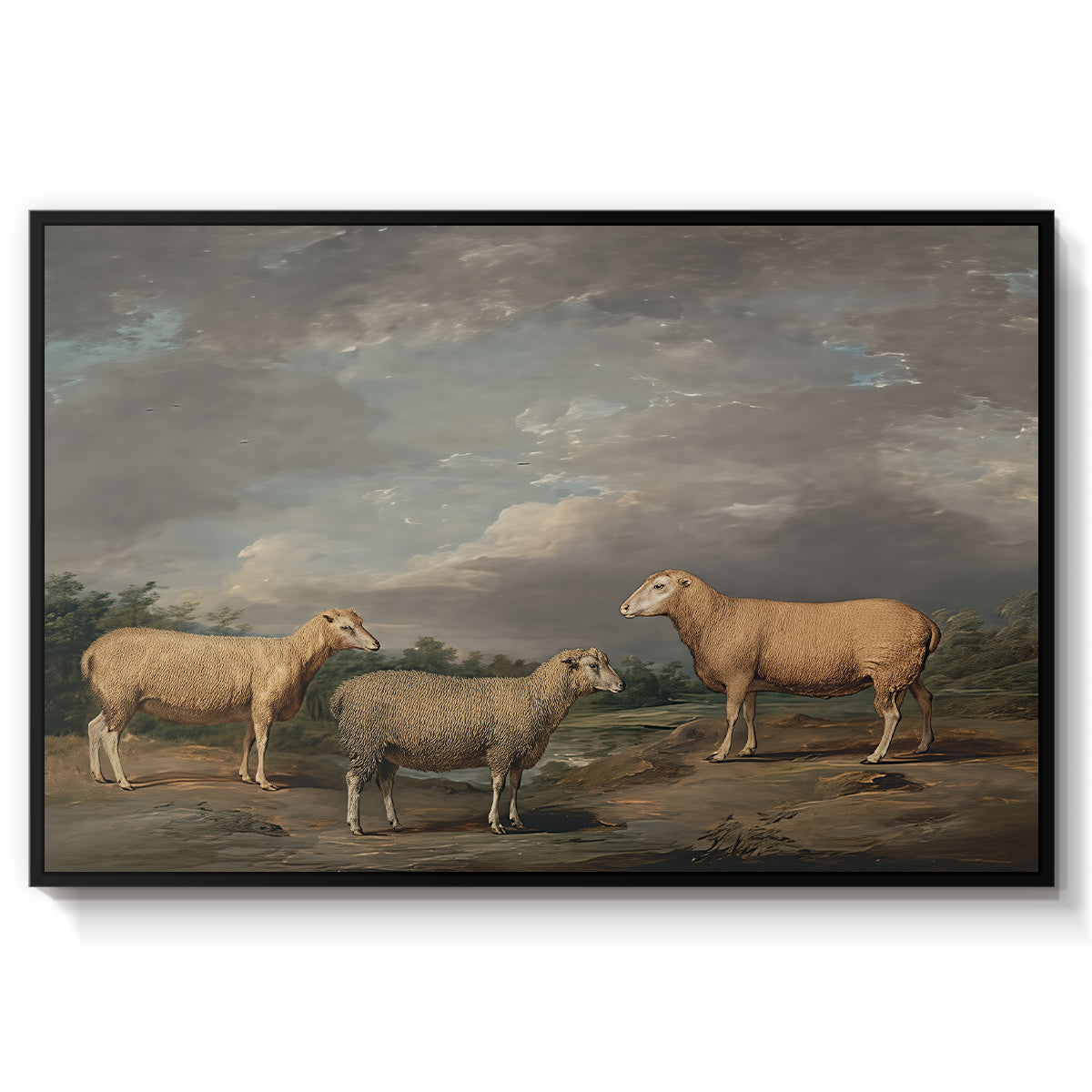 Ryelands Sheep, the King's Ram, the King's Ewe and Lord Somerville's Wether, c. 1801-1807 - Floater Framed Canvas Print