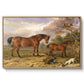 Portrait of Reformer, Blucher, Tory and Crib, Property of Rowland Alston, Esq., M.P., 1835 - Floater Framed Canvas Print