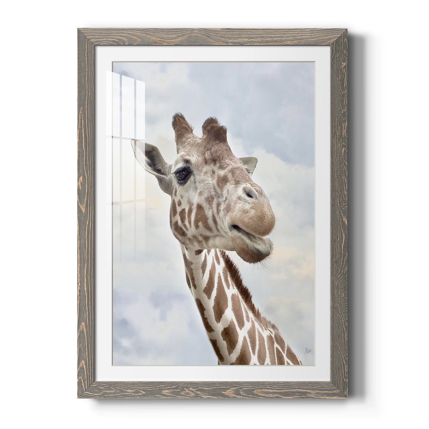 Smiley - Premium Framed Print - Distressed Barnwood Frame - Ready to Hang