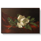 Magnolia on Red Velvet, c. 1885-1890 - Floater Framed Canvas Print
