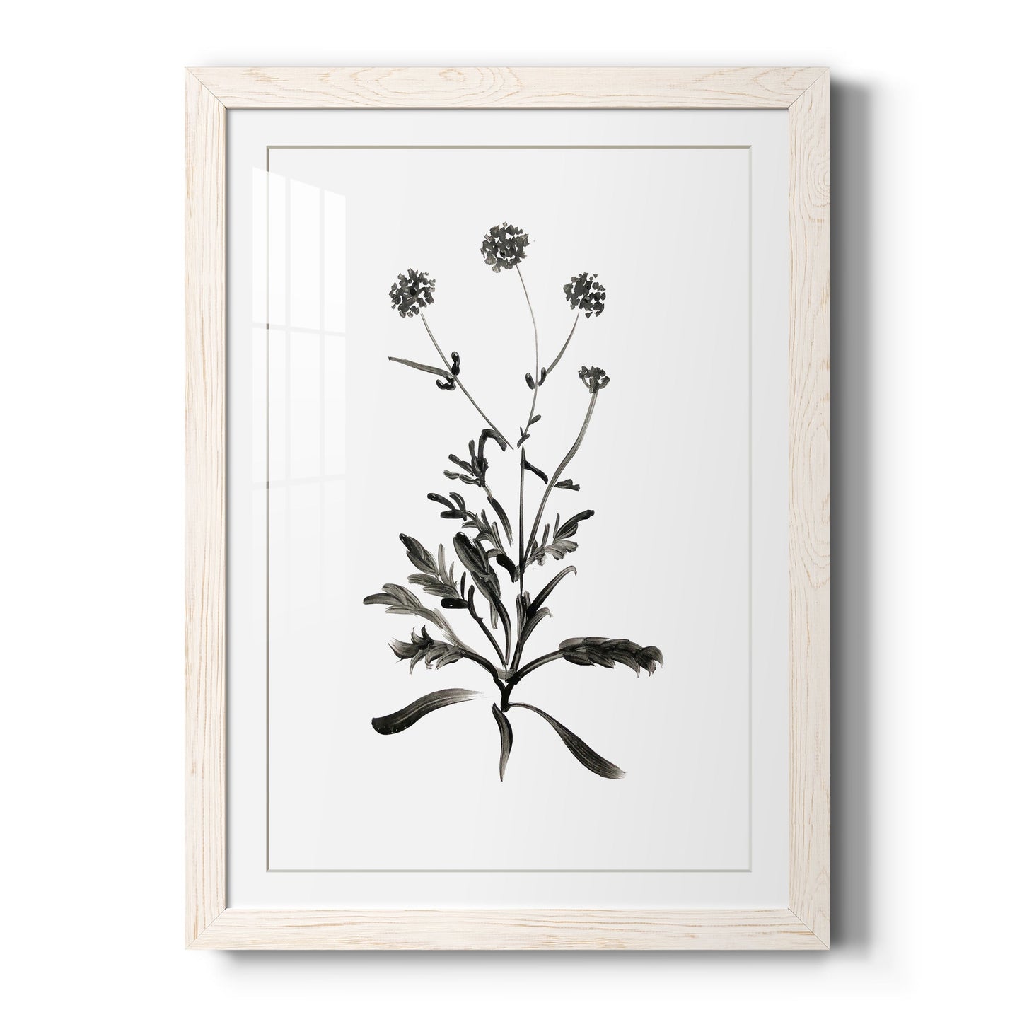 Inky Botanical I - Barnwood Framed Art Print