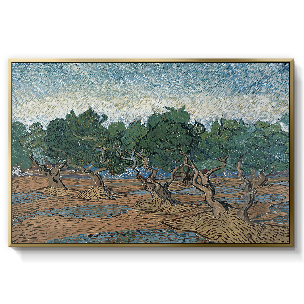 Olive Trees, 1889 - Floater Framed Canvas Print