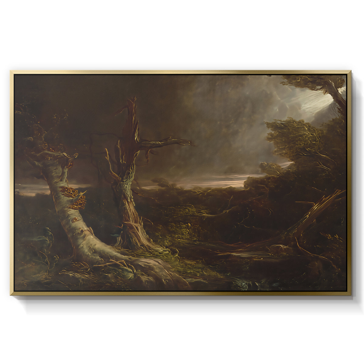 Tornado in an American Forest, 1835 - Floater Framed Canvas Print