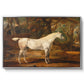 Grey Arabian Stallion, Property of Sir Watkin Williams-Wynn, c. 1817 - Floater Framed Canvas Print