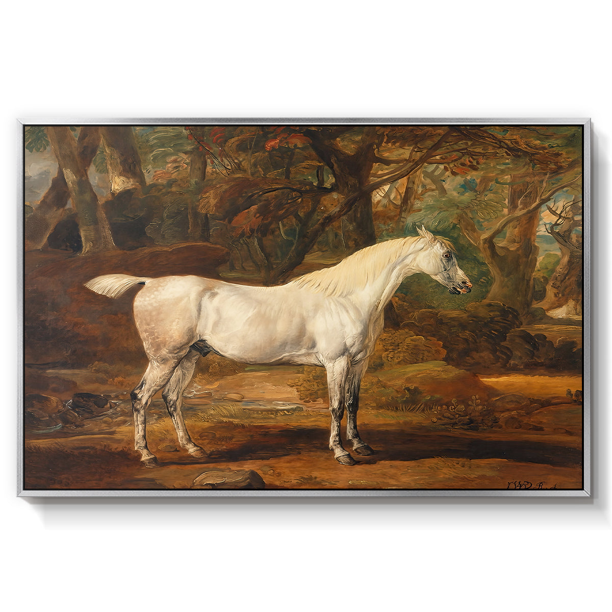 Grey Arabian Stallion, Property of Sir Watkin Williams-Wynn, c. 1817 - Floater Framed Canvas Print