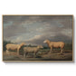 Ryelands Sheep, the King's Ram, the King's Ewe and Lord Somerville's Wether, c. 1801-1807 - Floater Framed Canvas Print
