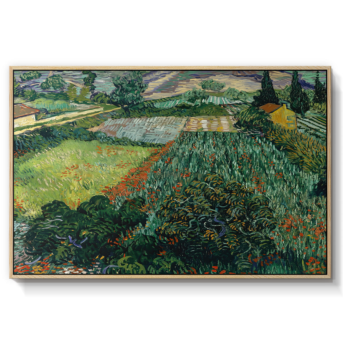 Field with Poppies, Saint-Rémy, 1889 - Floater Framed Canvas Print
