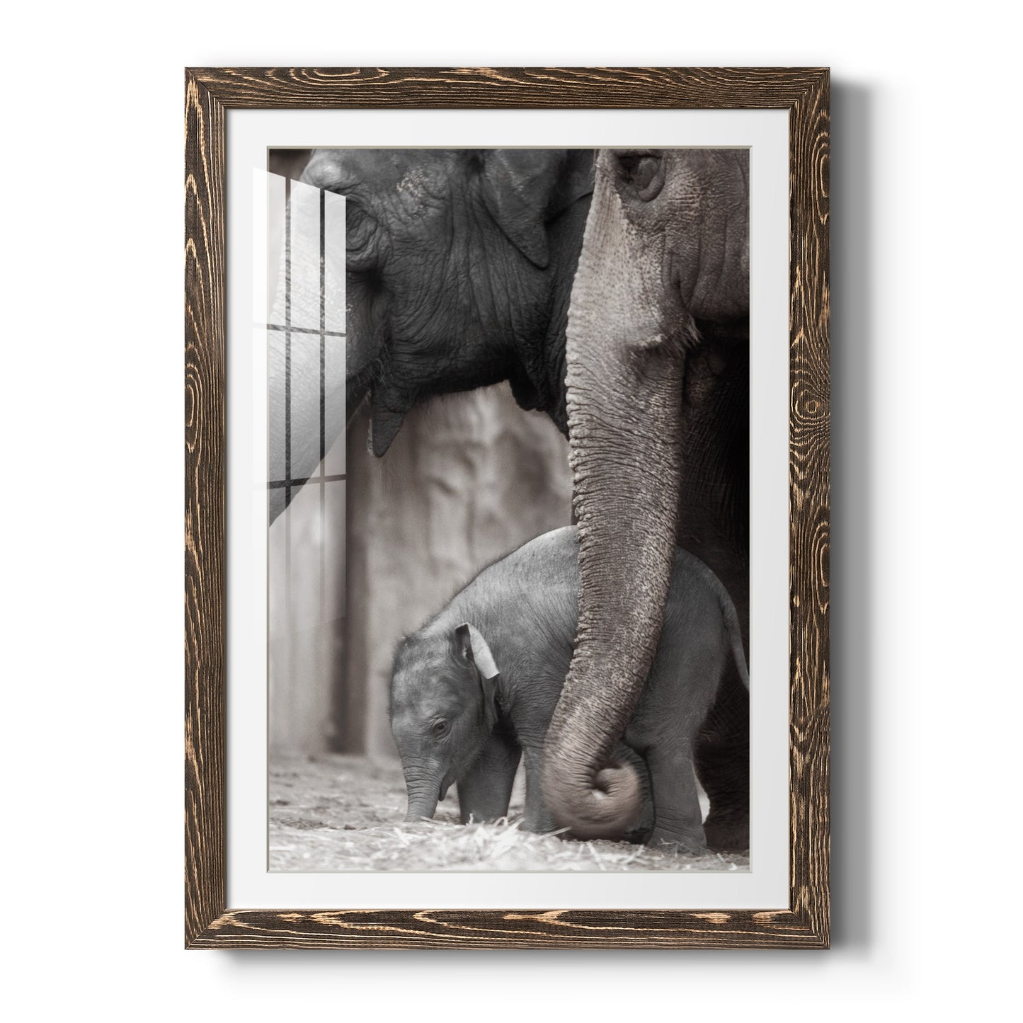 Family Moment - Premium Framed Print - Distressed Barnwood Frame - Ready to Hang