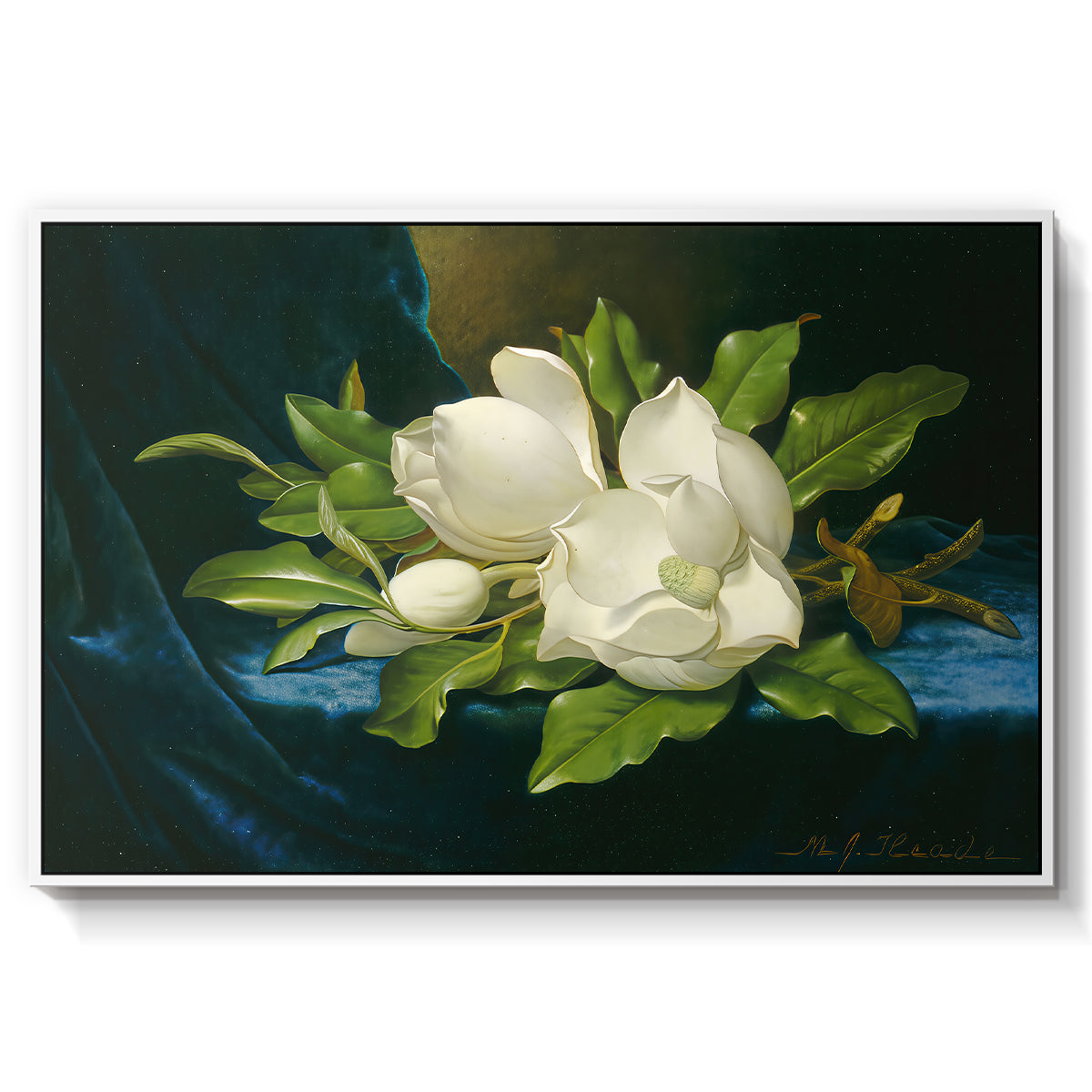 Giant Magnolias on a Blue Velvet Cloth, c. 1890 - Floater Framed Canvas Print