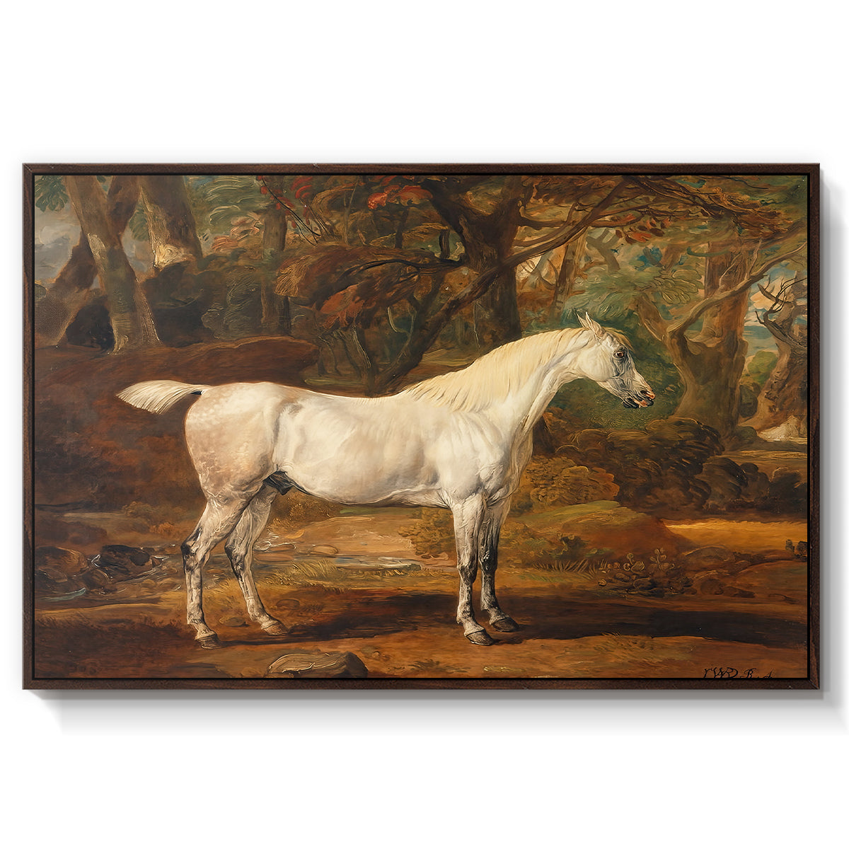 Grey Arabian Stallion, Property of Sir Watkin Williams-Wynn, c. 1817 - Floater Framed Canvas Print
