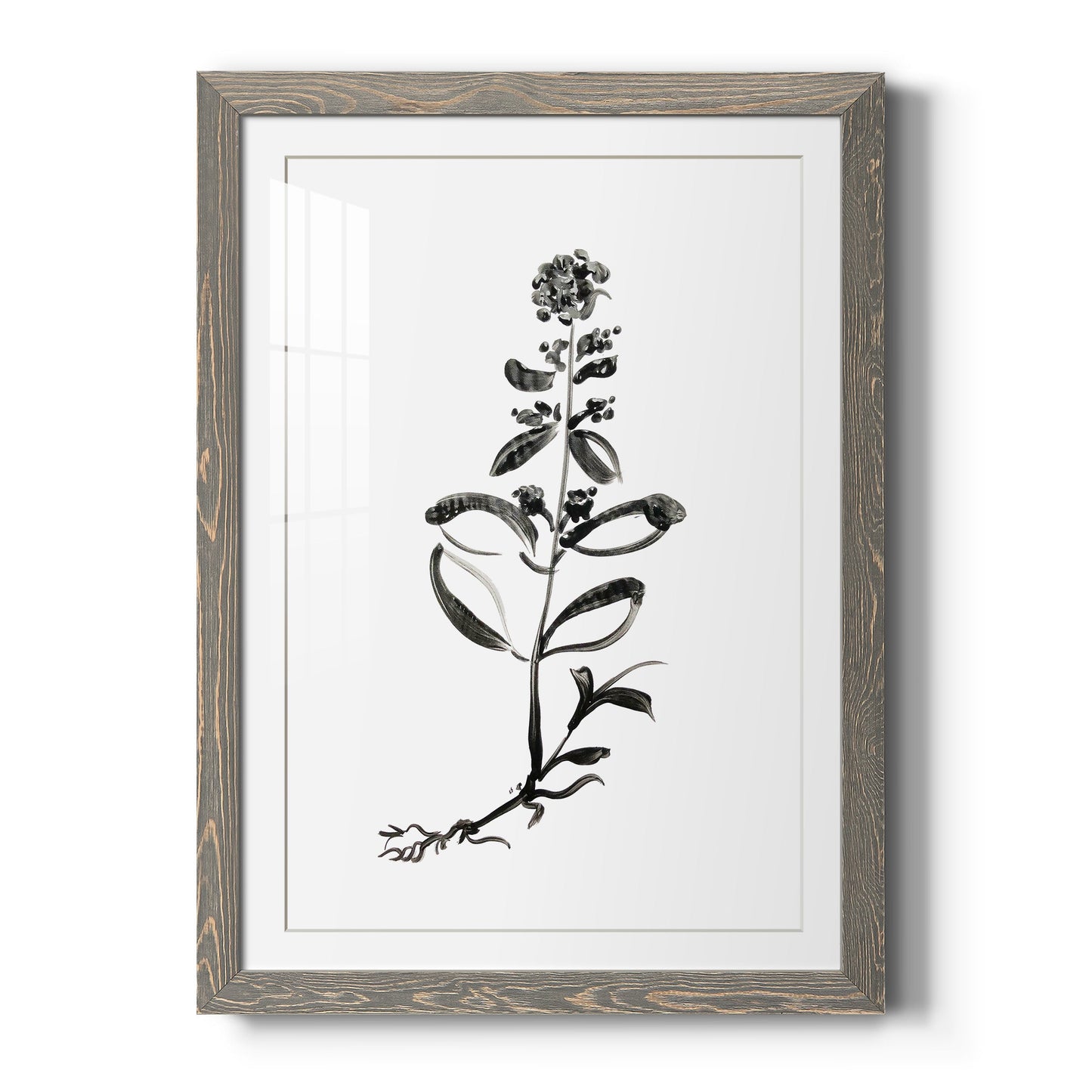 Inky Botanical III - Barnwood Framed Art Print