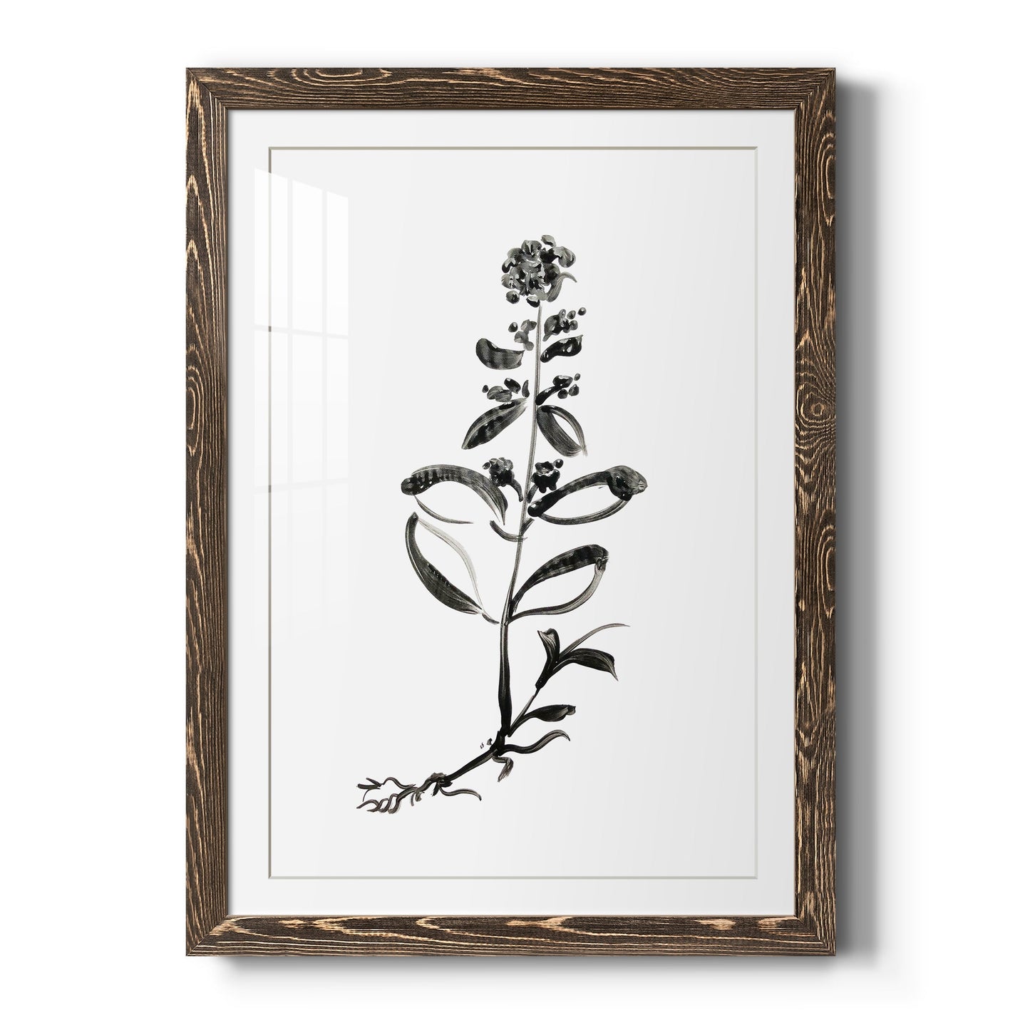 Inky Botanical III - Barnwood Framed Art Print