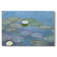 Canvas art print portraying floating water lilies on pond with reflections of sky and foliage, set against a white background