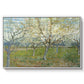 The Pink Orchard, 1888 - Floater Framed Canvas Print