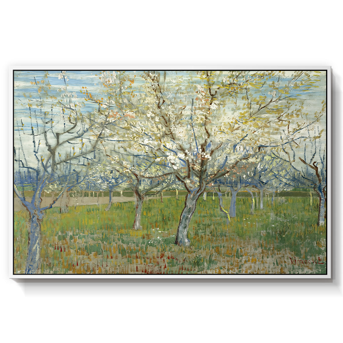 The Pink Orchard, 1888 - Floater Framed Canvas Print