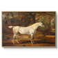 Grey Arabian Stallion, Property of Sir Watkin Williams-Wynn, c. 1817 - Floater Framed Canvas Print