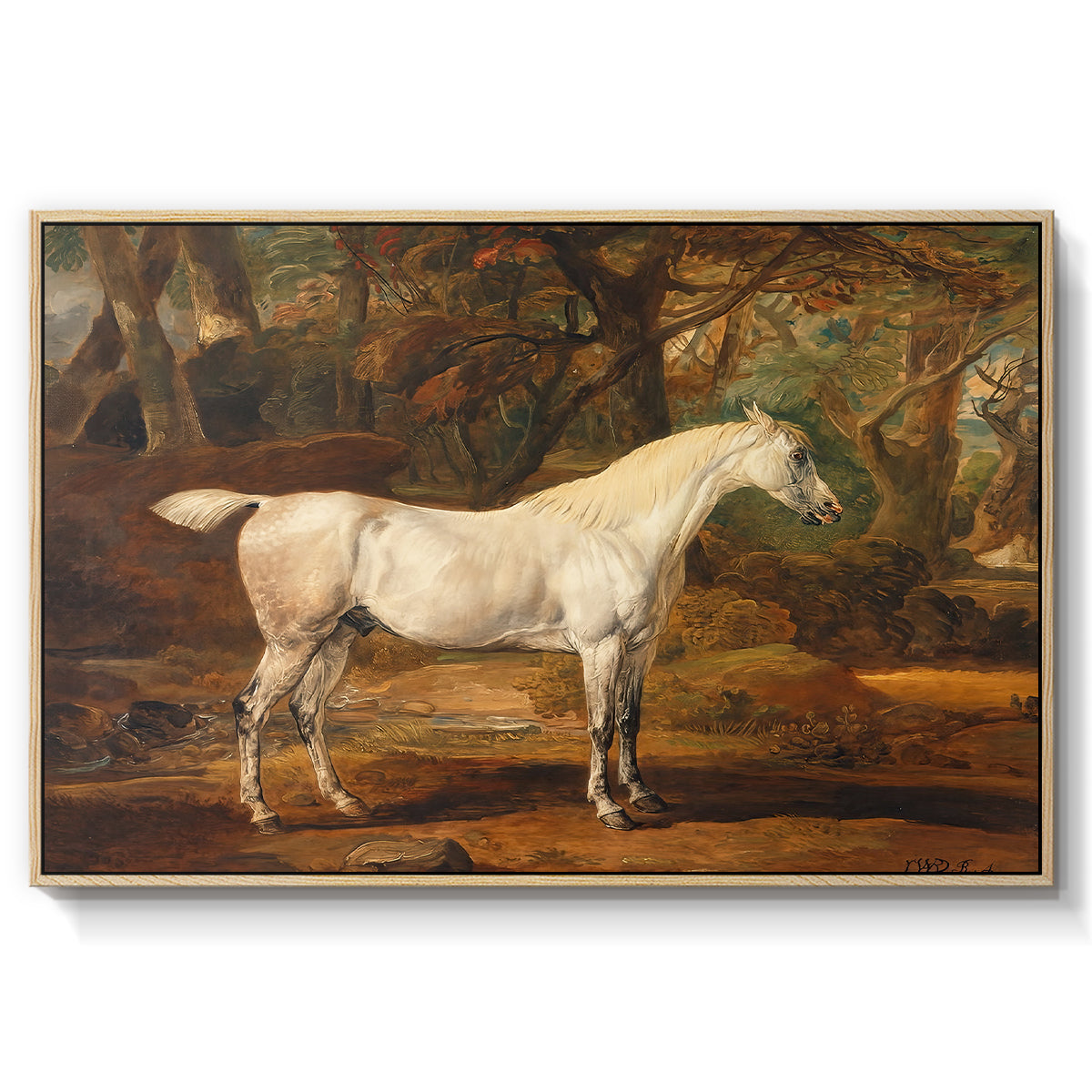 Grey Arabian Stallion, Property of Sir Watkin Williams-Wynn, c. 1817 - Floater Framed Canvas Print