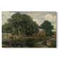 Canvas art print portraying a dense forest landscape with trees and filtered light across ground, set against a white background