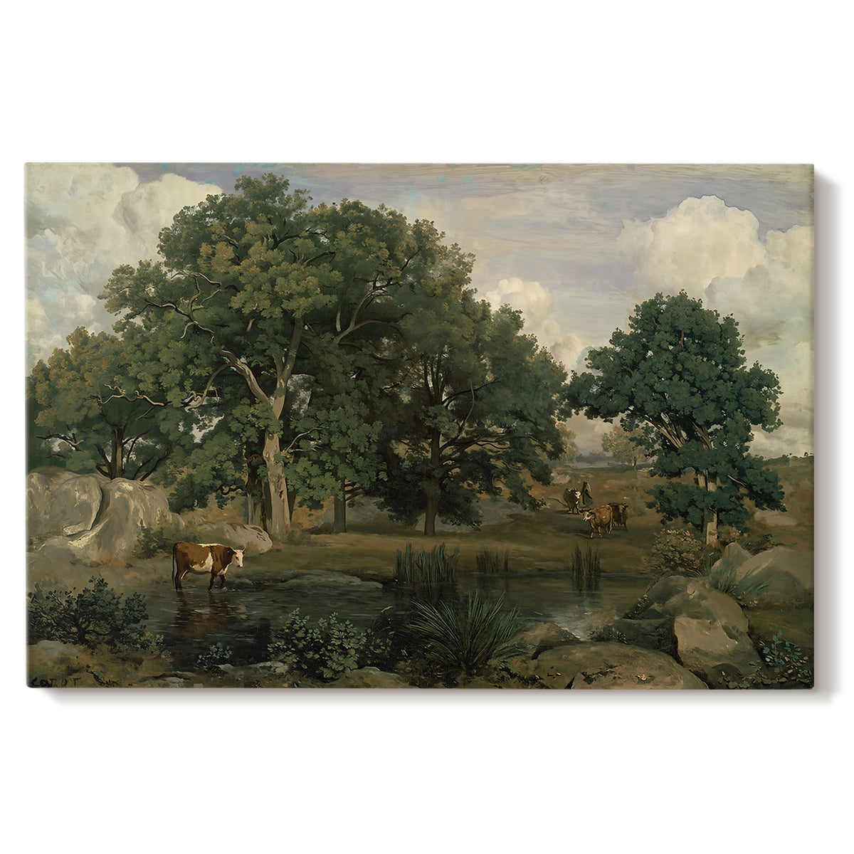 Canvas art print portraying a dense forest landscape with trees and filtered light across ground, set against a white background