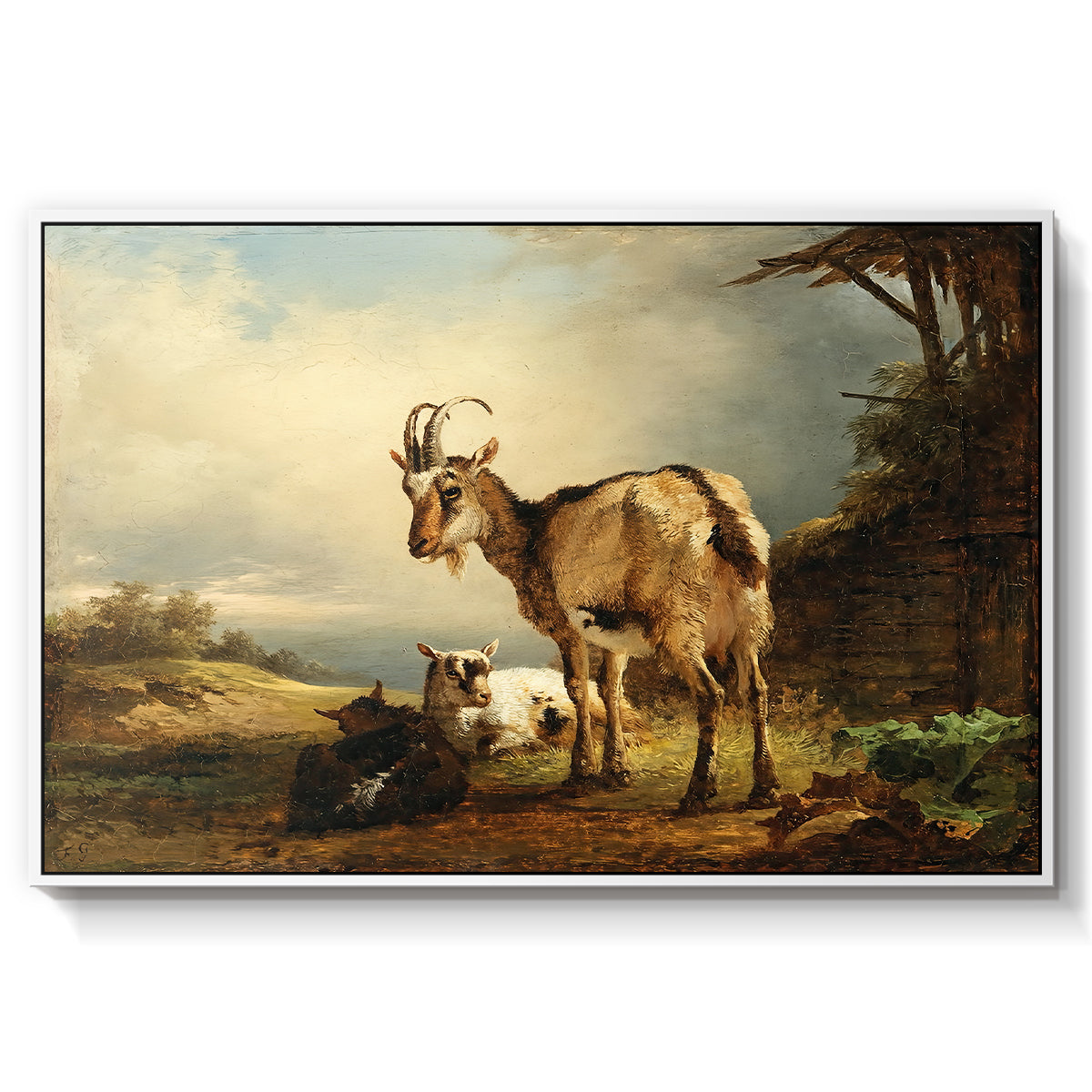 A Goat with Two Kids - Floater Framed Canvas Print