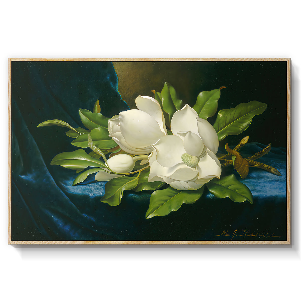 Giant Magnolias on a Blue Velvet Cloth, c. 1890 - Floater Framed Canvas Print