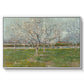Orchard in Blossom (Plum Trees), 1888 - Floater Framed Canvas Print