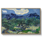 Olive Trees with the Alpilles in the Background, 1889 - Floater Framed Canvas Print