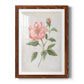 Grandiflora II - Premium Framed Print - Distressed Barnwood Frame - Ready to Hang