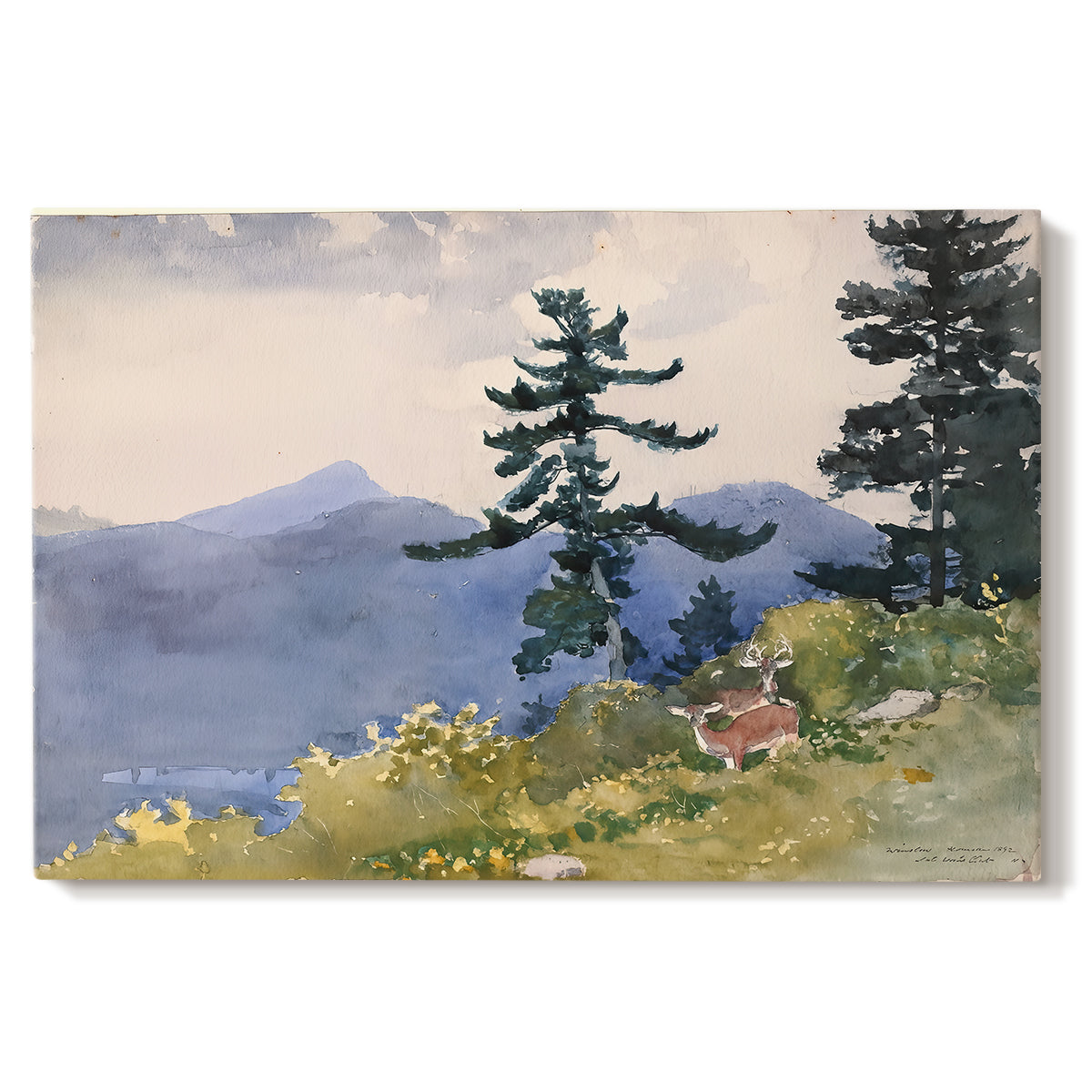 Canvas art print portraying a quiet forest clearing with trees and distant structure in natural setting, set against a white background