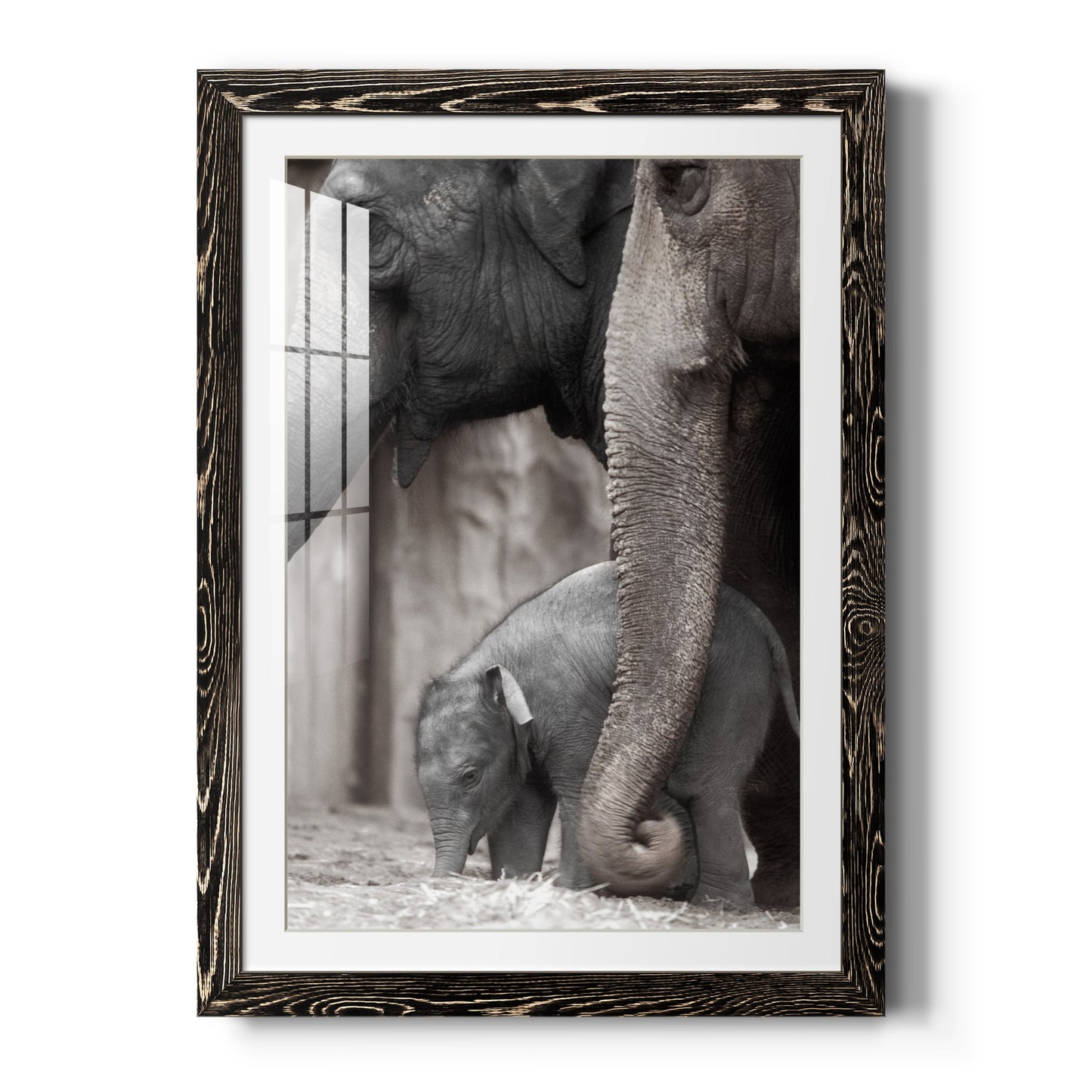 Family Moment - Premium Framed Print - Distressed Barnwood Frame - Ready to Hang