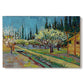 Canvas art print portraying rows of flowering trees enclosed by tall cypress trees in orchard setting, set against a white background