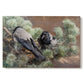 Canvas art print portraying two crows perched on ground among grass and earth tones, set against a white background