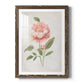 Grandiflora III - Premium Framed Print - Distressed Barnwood Frame - Ready to Hang