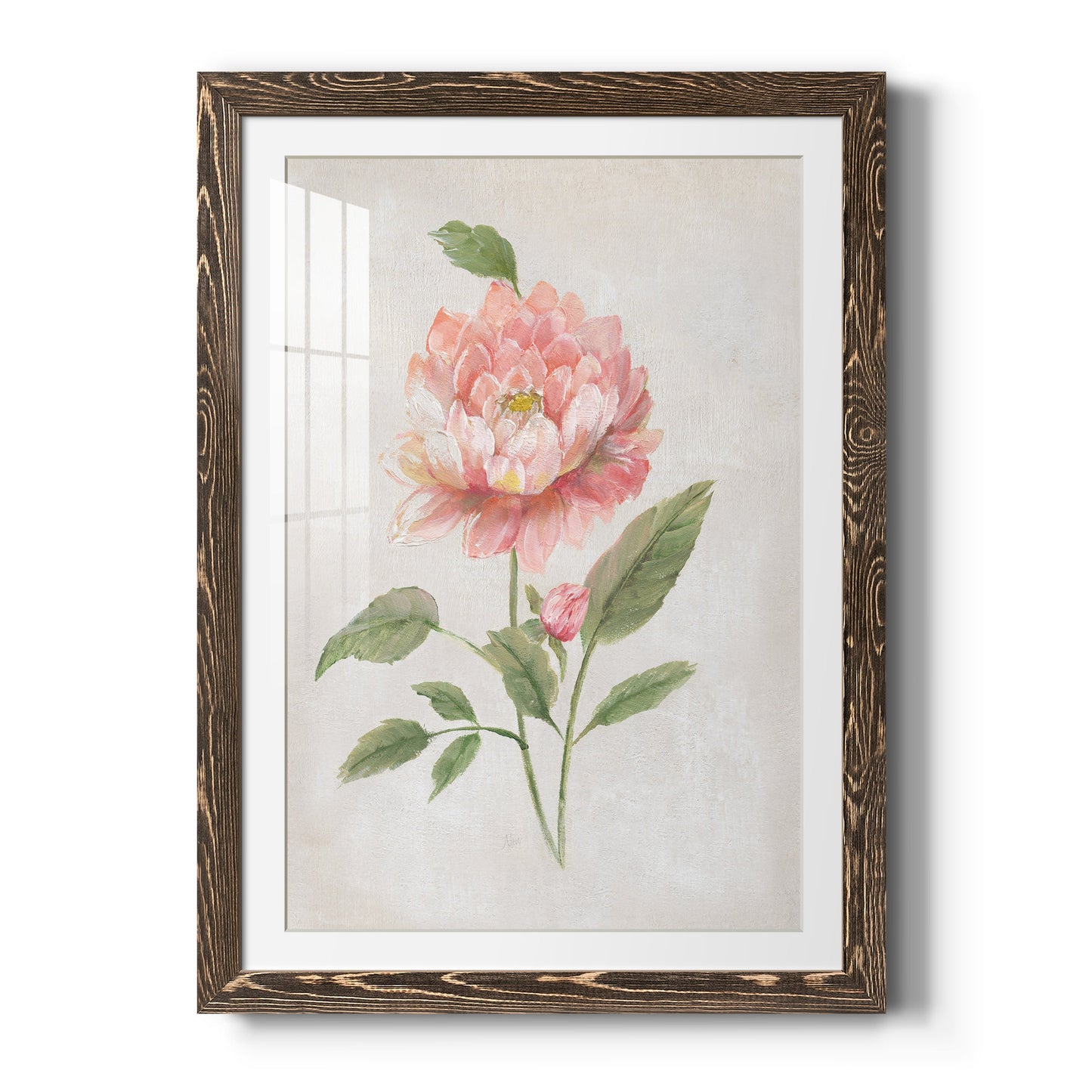 Grandiflora III - Premium Framed Print - Distressed Barnwood Frame - Ready to Hang