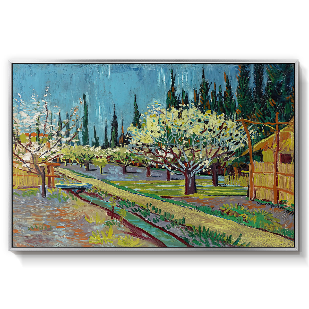 Orchard in Blossom, Bordered by Cypresses, 1888 - Floater Framed Canvas Print