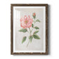 Grandiflora II - Premium Framed Print - Distressed Barnwood Frame - Ready to Hang