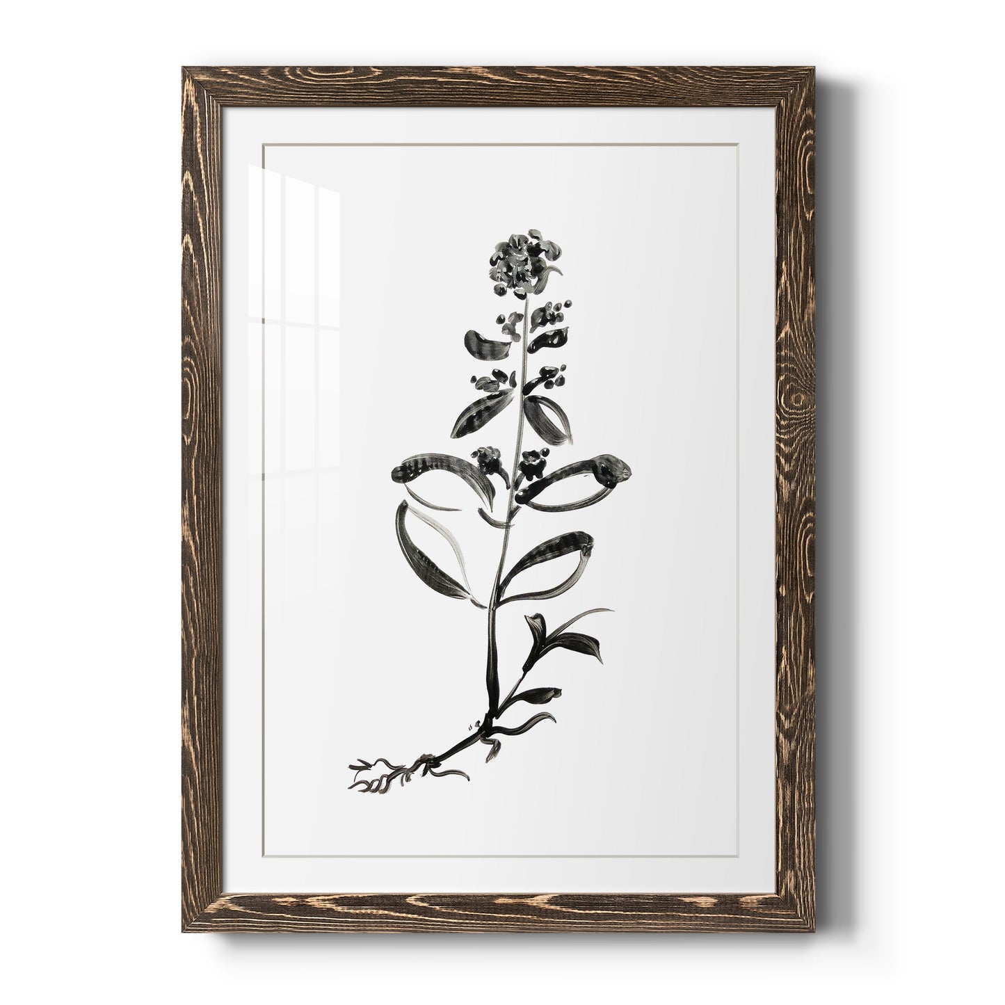 Inky Botanical III - Premium Framed Print - Distressed Barnwood Frame - Ready to Hang